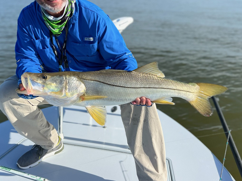 Snook Fishing and Fly Fishing