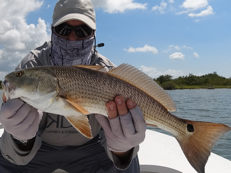 Fly Fishing Redfish Central Florida